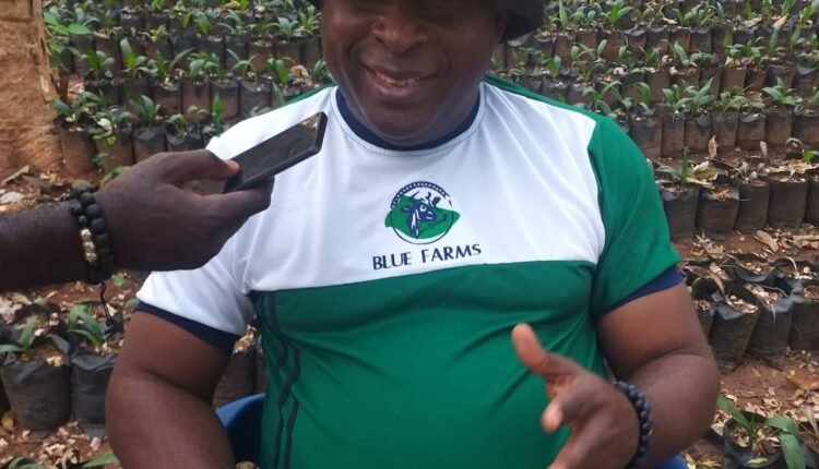 Nigeria has great potential in Palm oil– Alex Adingi.