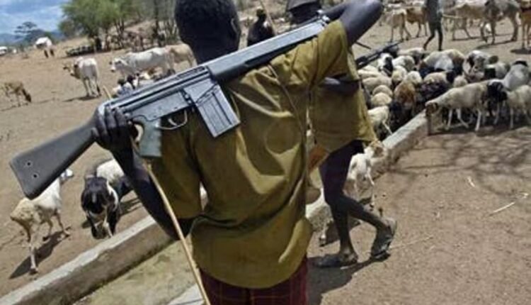 A Farmer's Story from Oyo