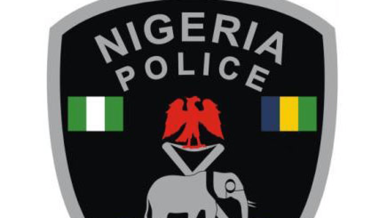 COMMUNITY POLICING IN NIGERIA