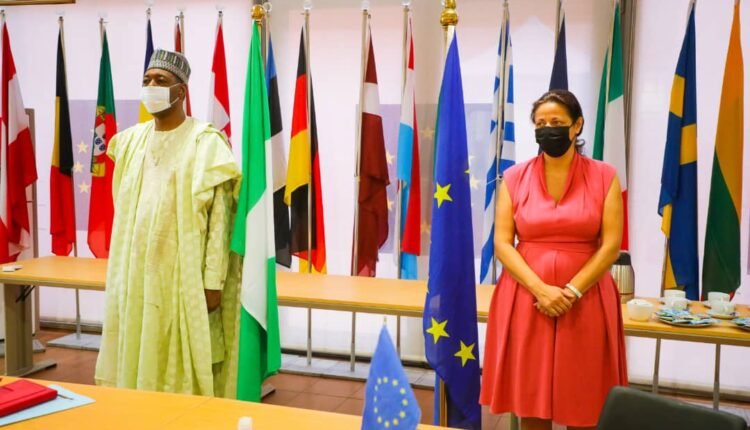 Zulum meets new EU head, wants local contractors involved in intervention projects