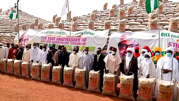 FG begins sales of 200,000 metric tones of paddy rice to 18 Nigerian millers