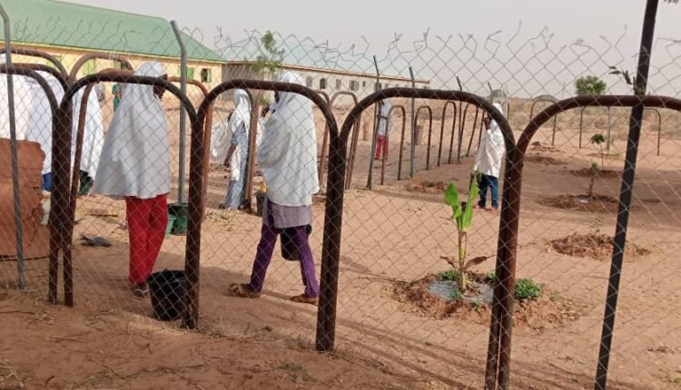 Press Club, School Garden, Impress Bagudu