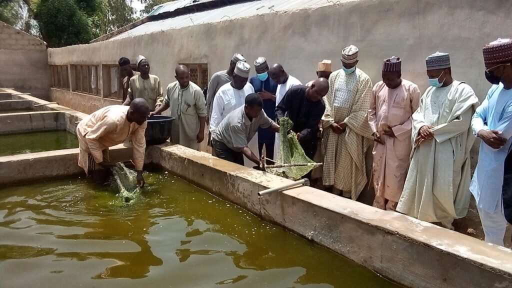 Bagudu visits Kitari Fish Farm in Bunza LGA