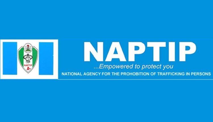 NAPTIP detains Lebanese over alleged defilement of minors