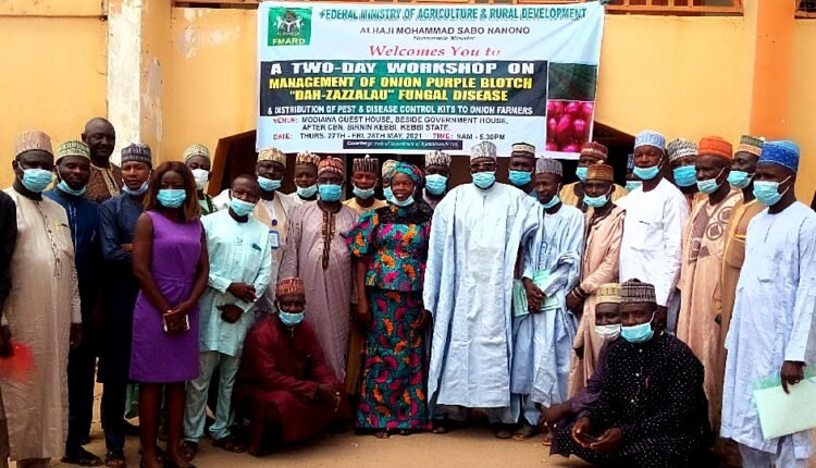 Onion fungal disease: FG sets to bridge demand gap of 1.1 million metric tones
