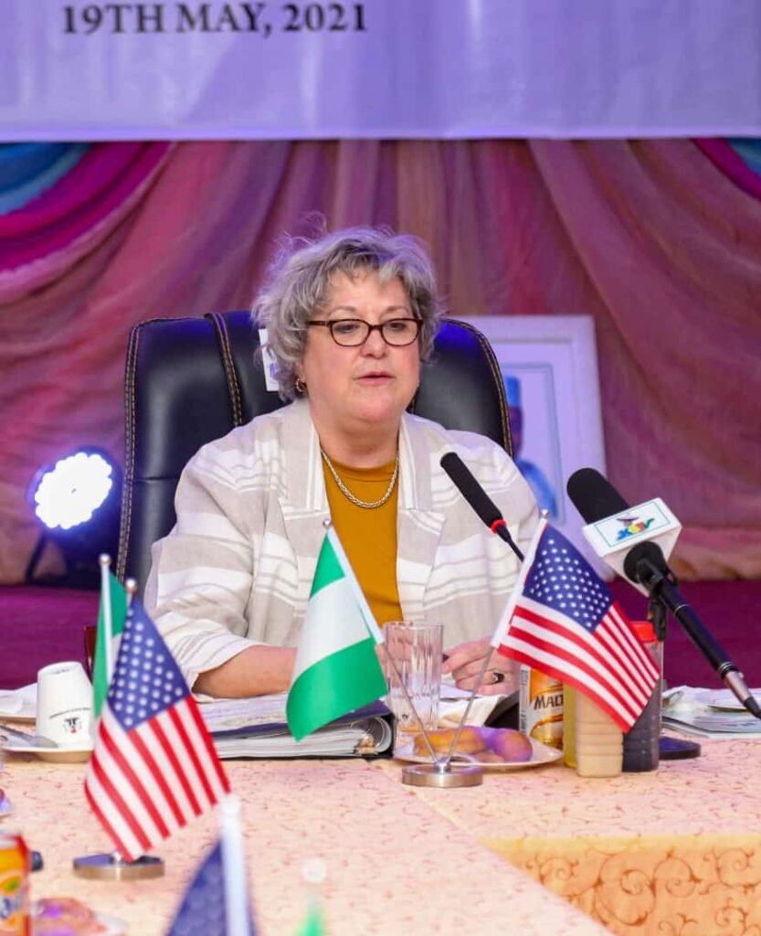 Robust Nigeria, US relations excites Bagudu, seeks more support
