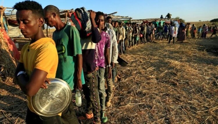 Severe malnutrition looms in Ethiopia’s Tigray, says UN