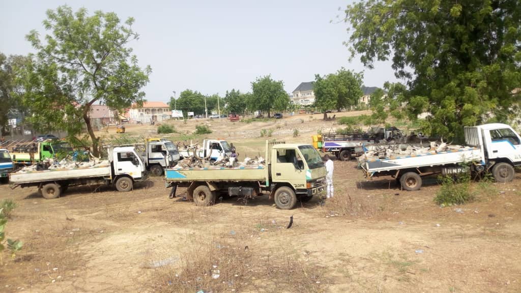 Army intercepts 154 rustled cows, arrests 44 collaborators in Zamfara