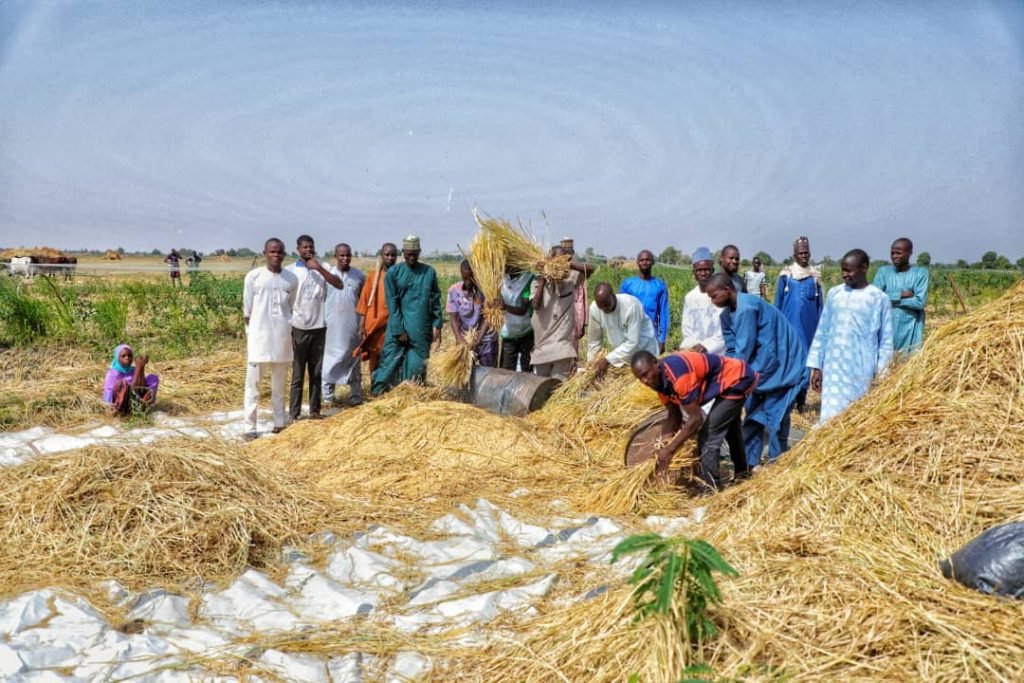 Farms' reopening: Zulum in Damasak, targets 3,000 families in second phase of inputs' packages