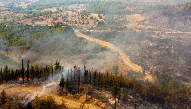 Turkish emergency forces battle wildfires for 3 consecutive days – Minister