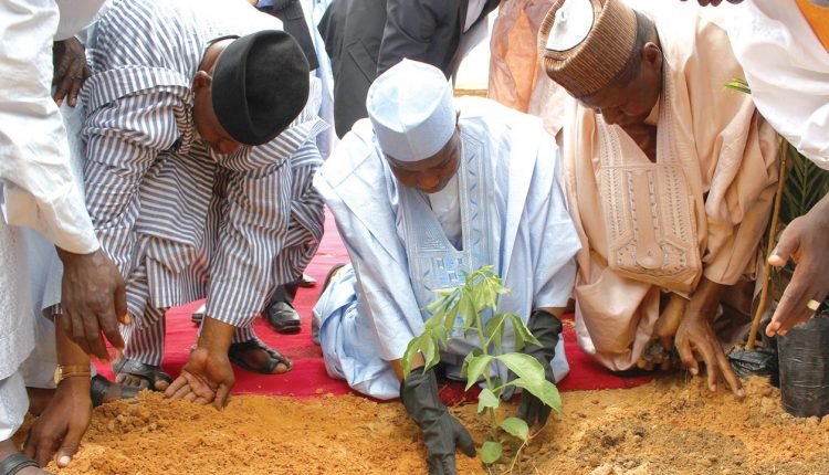 Desertification : Sokoto To Plant 2Million Trees
