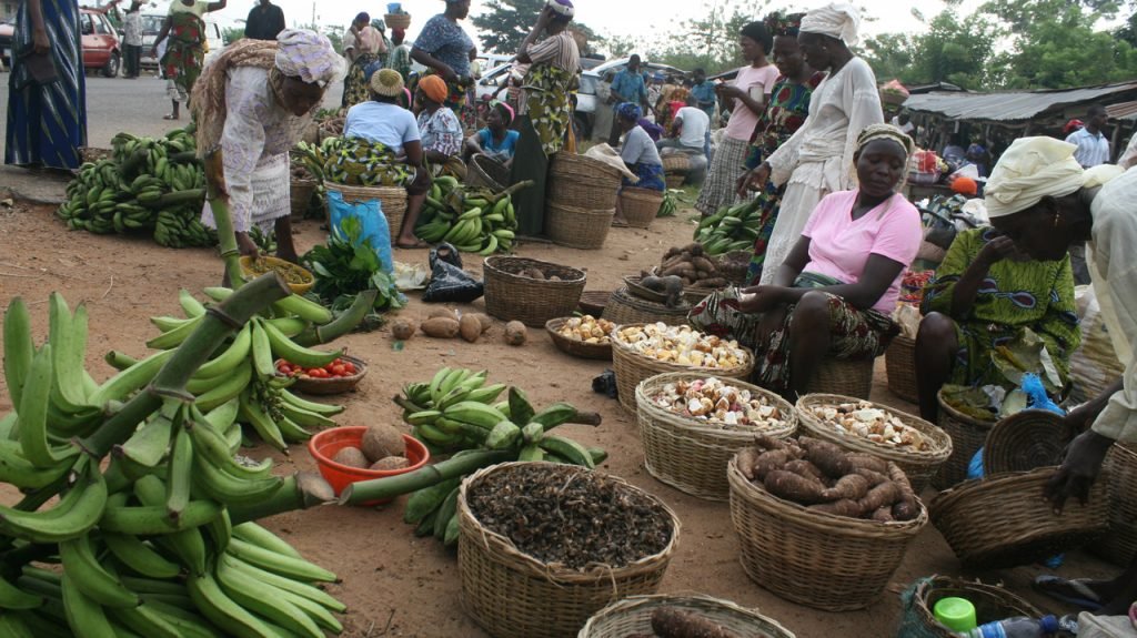 North – East stakeholders map out strategies for avoiding food crisis