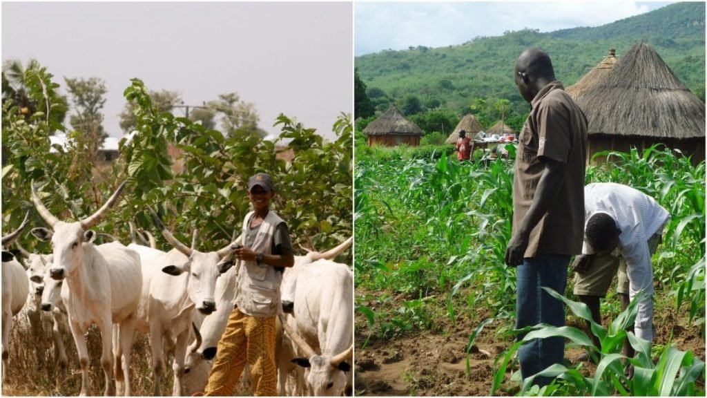 Grazing Bill ‘ll ensure harmony between herders, farmers in Lagos – Assembly