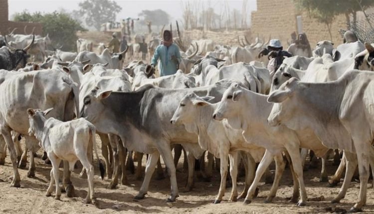 Grazing Bill ‘ll ensure harmony between herders, farmers in Lagos – Assembly