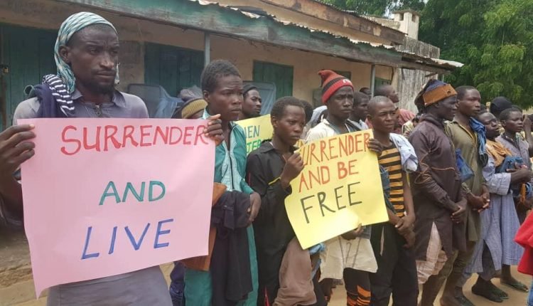 Handling surrendering Boko Haram terrorists in Borno