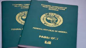 Nigerians in Diaspora urge FG to streamline passport application process 