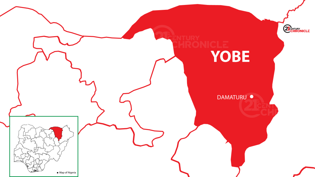 2 minors in police net in connection with kidnappings of 3-year-old in Yobe