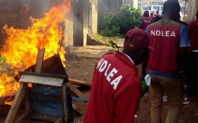 NDLEA arrests 110 drug dealers in 9 states