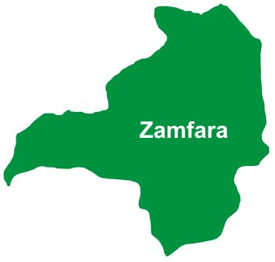 Zamfara to operate 3 empowerment centers for IDPs training