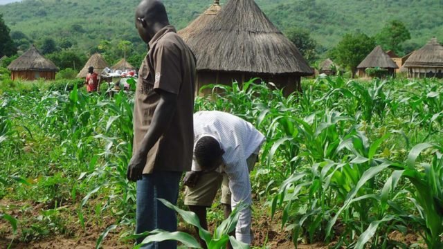 2 farmers docked for accusing their neighbour of being a witch