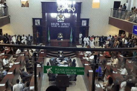 Delta Assembly suspends budget defence for higher education over irregularities