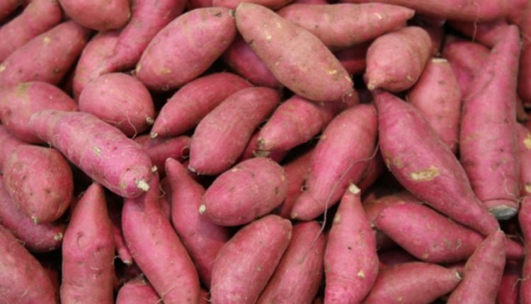 FG pledges to support potato, root crops initiatives, to enhance production, processing