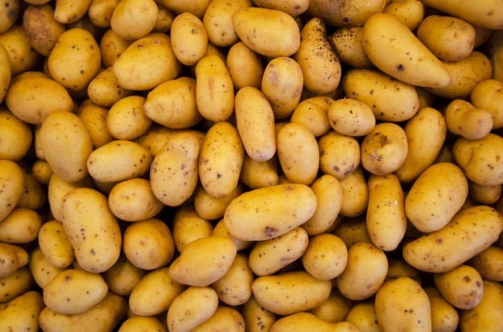 FG pledges to support potato, root crops initiatives, to enhance production, processing