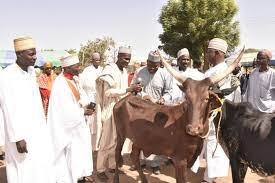 Fulani group to establish modern cow milk market in Jigawa