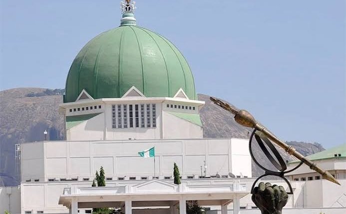 Electoral Bill: IPAC advises NASS to expunge mandatory direct primary clauses