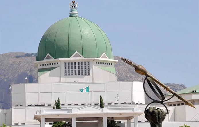 Electoral Bill: IPAC advises NASS to expunge mandatory direct primary clauses