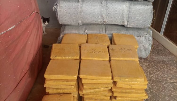 Customs intercepts 389kg of cannabis sativa, 150 drums of petrol worth N21.1m in Kebbi