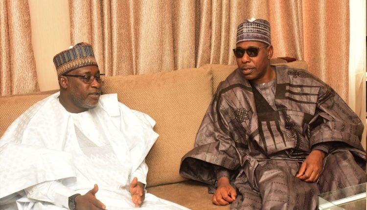 Lake Chad, Hawul Basins: Zulum visits water minister, identifies areas of fund-raising