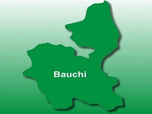 MY TAKE ON MY PURPORTED SUSPENSION AS JAKADAN BAUCHI