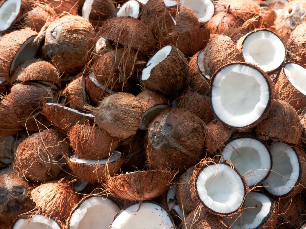 Badagry youths boost coconut sales through e-commerce  