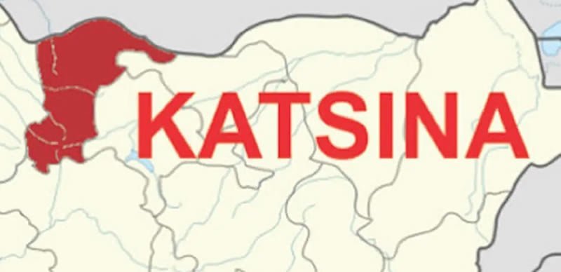 Insecurity: Katsina govt. bans activities of volunteer groups ‘Yan Sa Kai’ –official