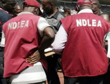 NDLEA arrests Indian with 134,700 bottles of smuggled codeine