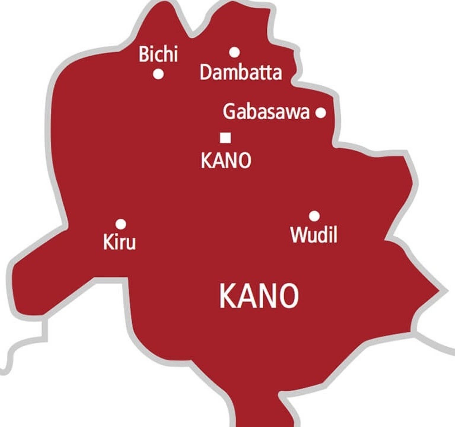 Teenager in police net for allegedly removing eyeball of 12-year-old in Kano