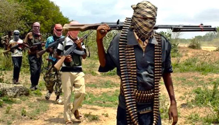 Bandits Kill 2, Rustle Dozens Of Livestock In Sokoto