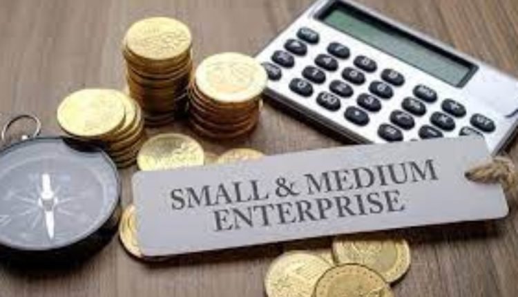 Gaps and Opportunities within the Nigerian Micro, Small and Medium Enterprises   (MSME) space