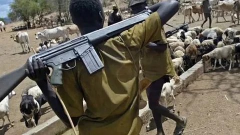 Over 60 people killed in herdsmen attacks on Taraba communities
