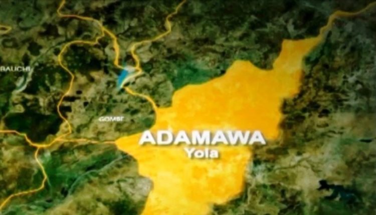 Adamawa community seeks drain project to mitigate flood