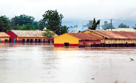 Adamawa community seeks drain project to mitigate flood