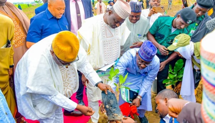 Bello inaugurates planting of 3,000 hybrid shea trees in Niger