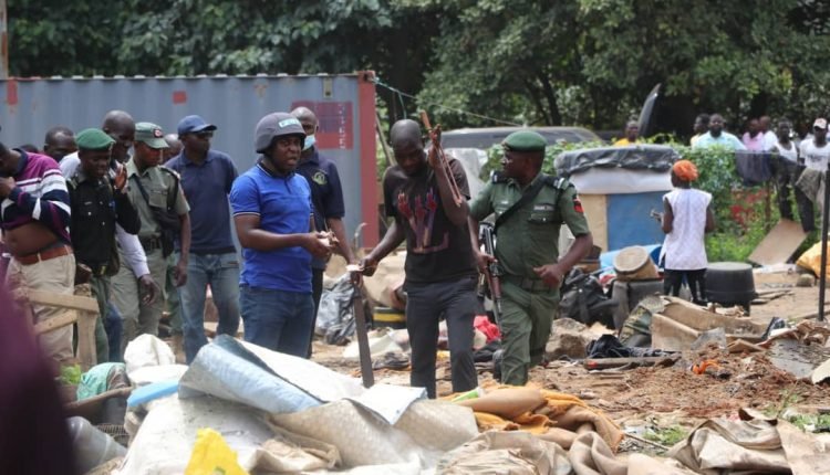 FCTA cautions Abuja natives against renting cashew plantations to scavengers