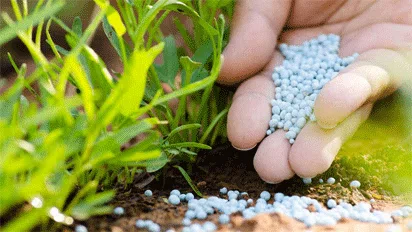 FG clamps down on fake, adulterated fertiliser producers 