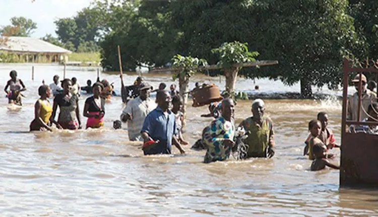 172,000 farmers badly affected by flood in Adamawa – SEMA