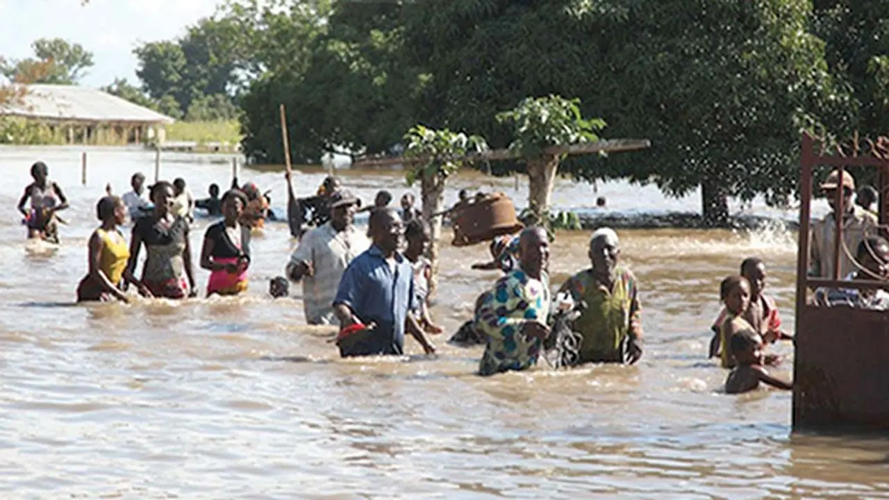 172,000 farmers badly affected by flood in Adamawa – SEMA