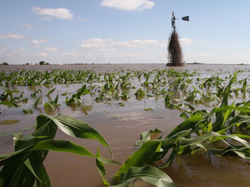 172,000 farmers badly affected by flood in Adamawa – SEMA