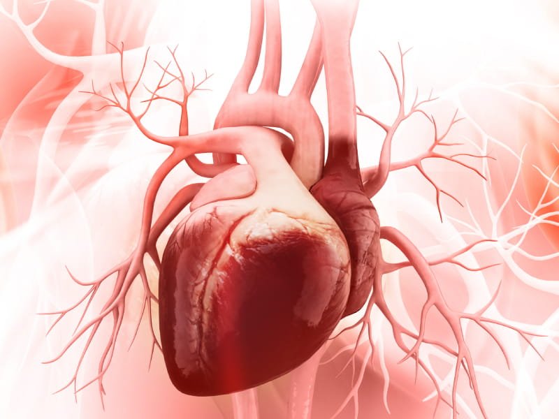 Unhealthy lifestyle choices contribute to heart diseases- Expert