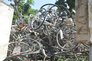 Insurgency: MNJTF troops recovers 500 bicycles, cattle in Borno